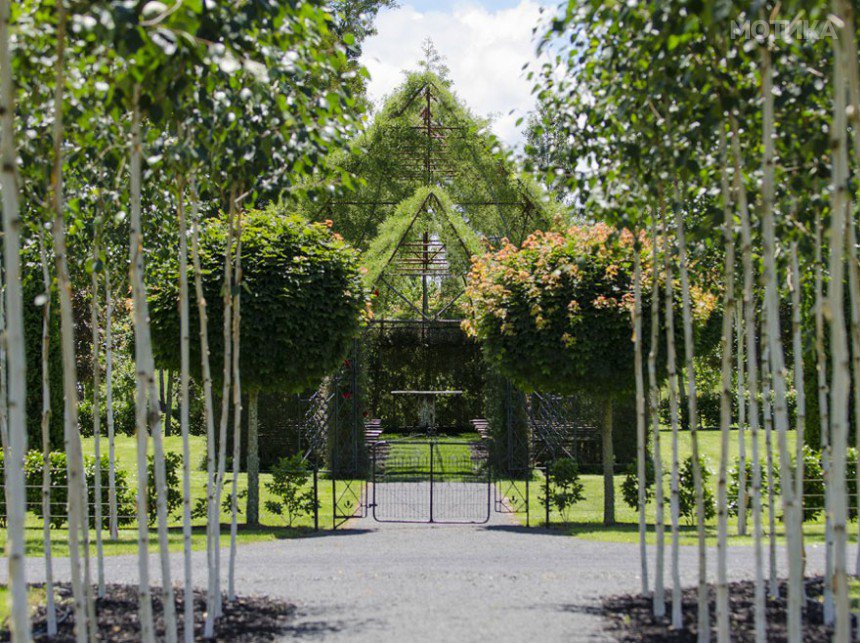 tree-church-nature-installation-barry-cox-new-zealand-6