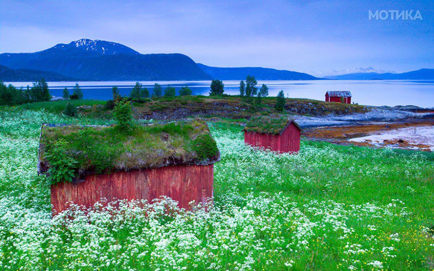 fairy-tale-viking-architecture-norway-6__880