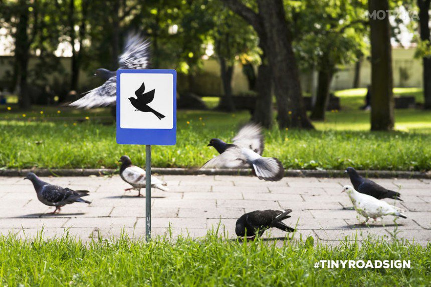 TINYROADSIGN-road-signs-for-animals1__880