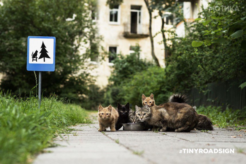 TINYROADSIGN-road-signs-for-animals2__880