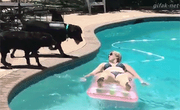 gif (14)