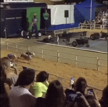 gif (18)