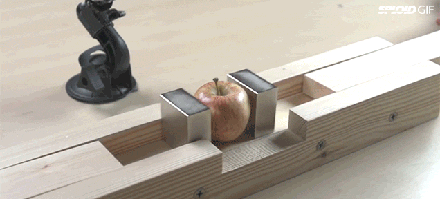 gif (2)