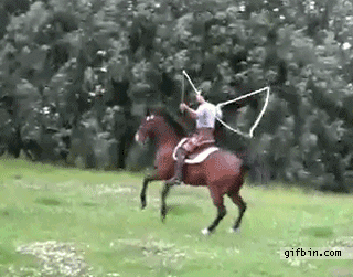 gif (27)