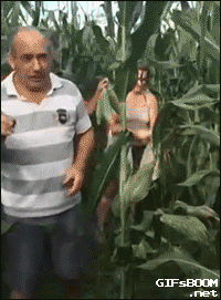 g (6)