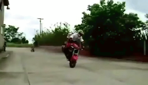 g (7)