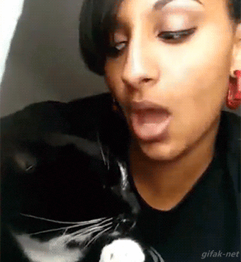 gif (1)