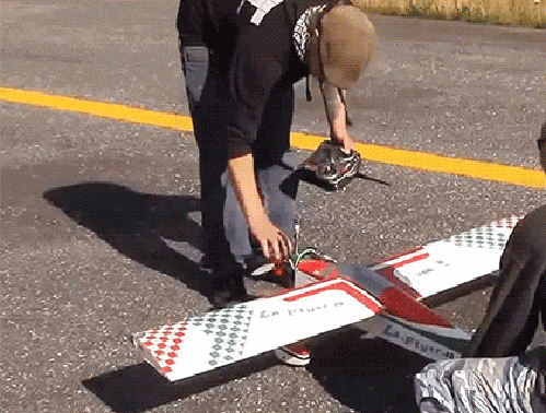 gif (15)