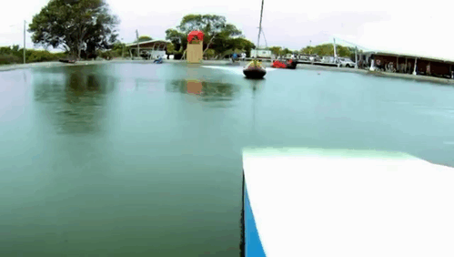 gif (7)