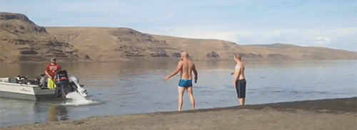 gif (8)