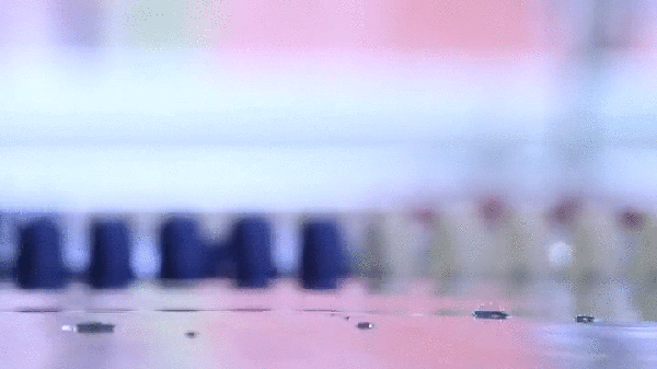 g (3)