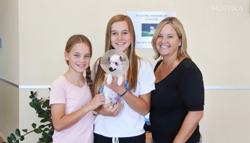 strange-puppy-lucky-hssv-adopt-christine-doblar-10