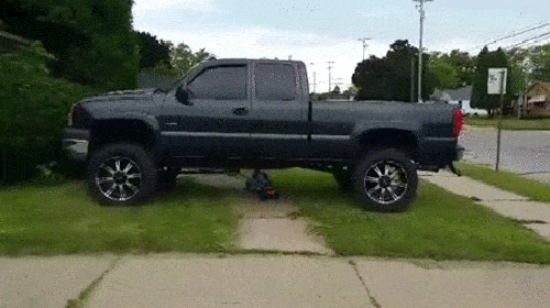 g (16)