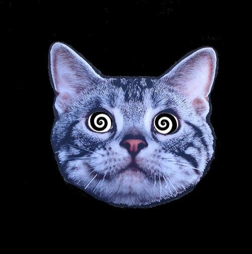 g (8)