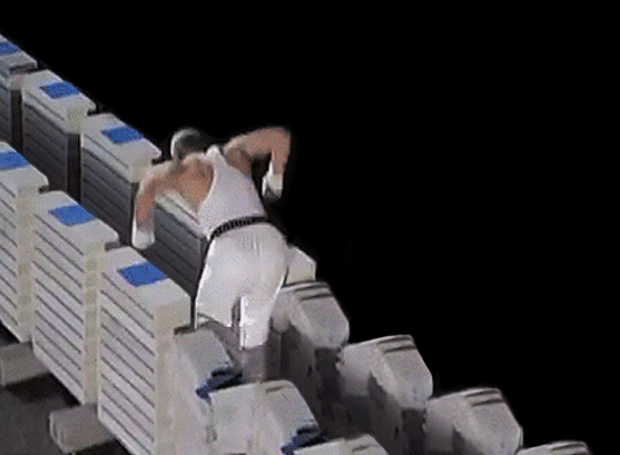 g (11)