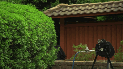 gif (3)