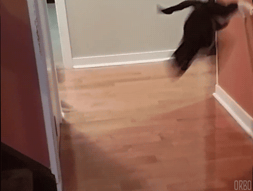 g (30)