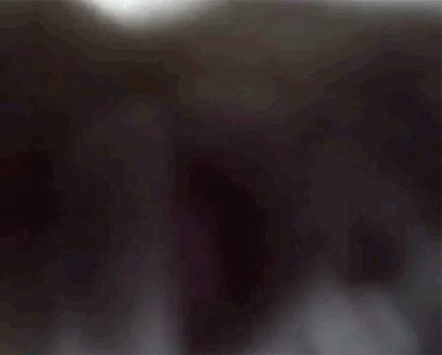 g (5)