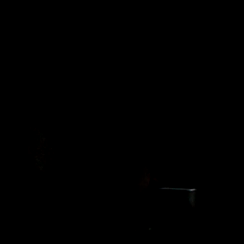 g (11)