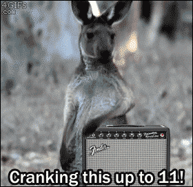 g (12)