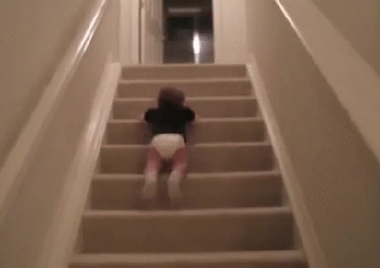 g (8)