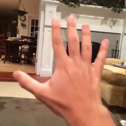 g (27)