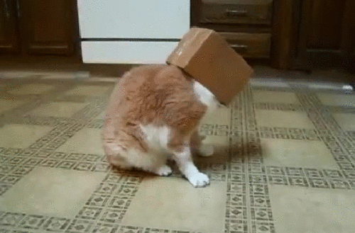 g (8)