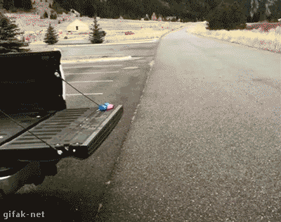 g (2)