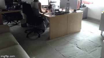 gif (25)