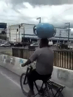 gif (4)