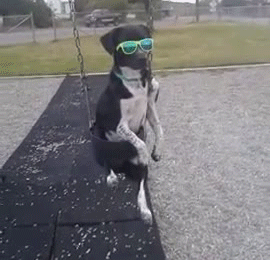 gif (8)