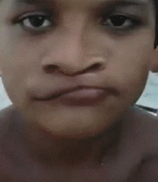 g (23)