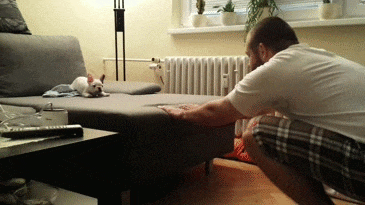 gif (23)