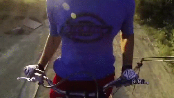 gif (1)