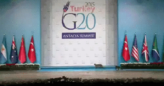 gif (22)
