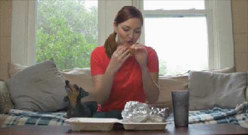 gif (15)
