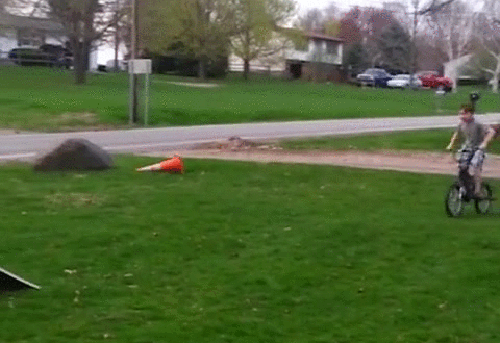 gif (20)