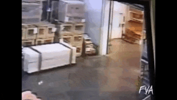 gif (5)
