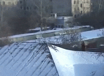 gif (29)