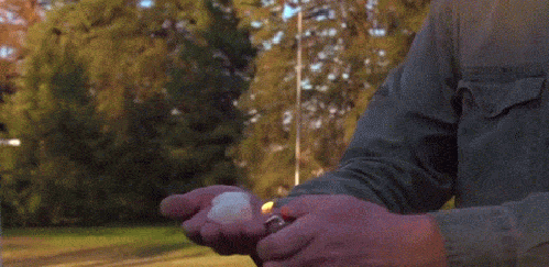 gif (7)