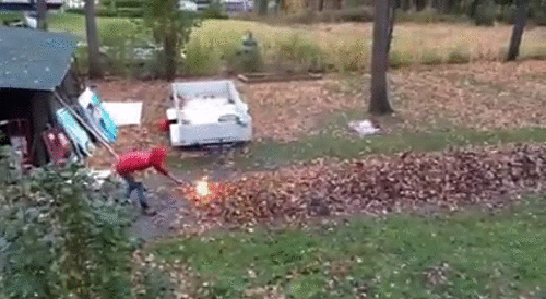 gif (8)