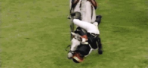gif (1)