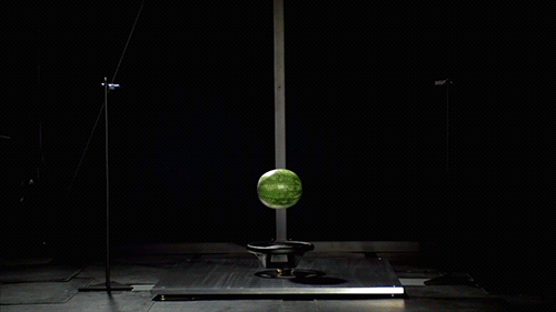 gif (11)