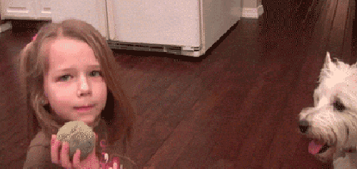gif (13)