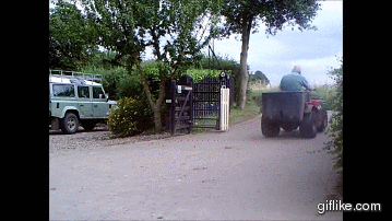gif (12)