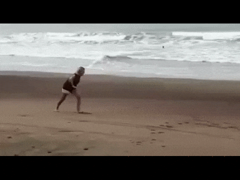 gif (25)