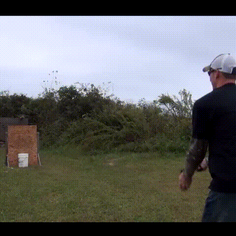 gif (4)