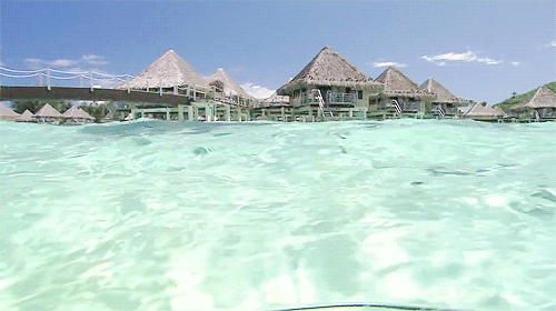 gif (1)