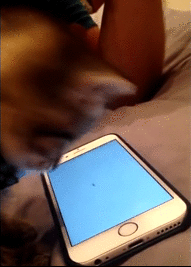 gif (26)