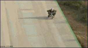gif (30)